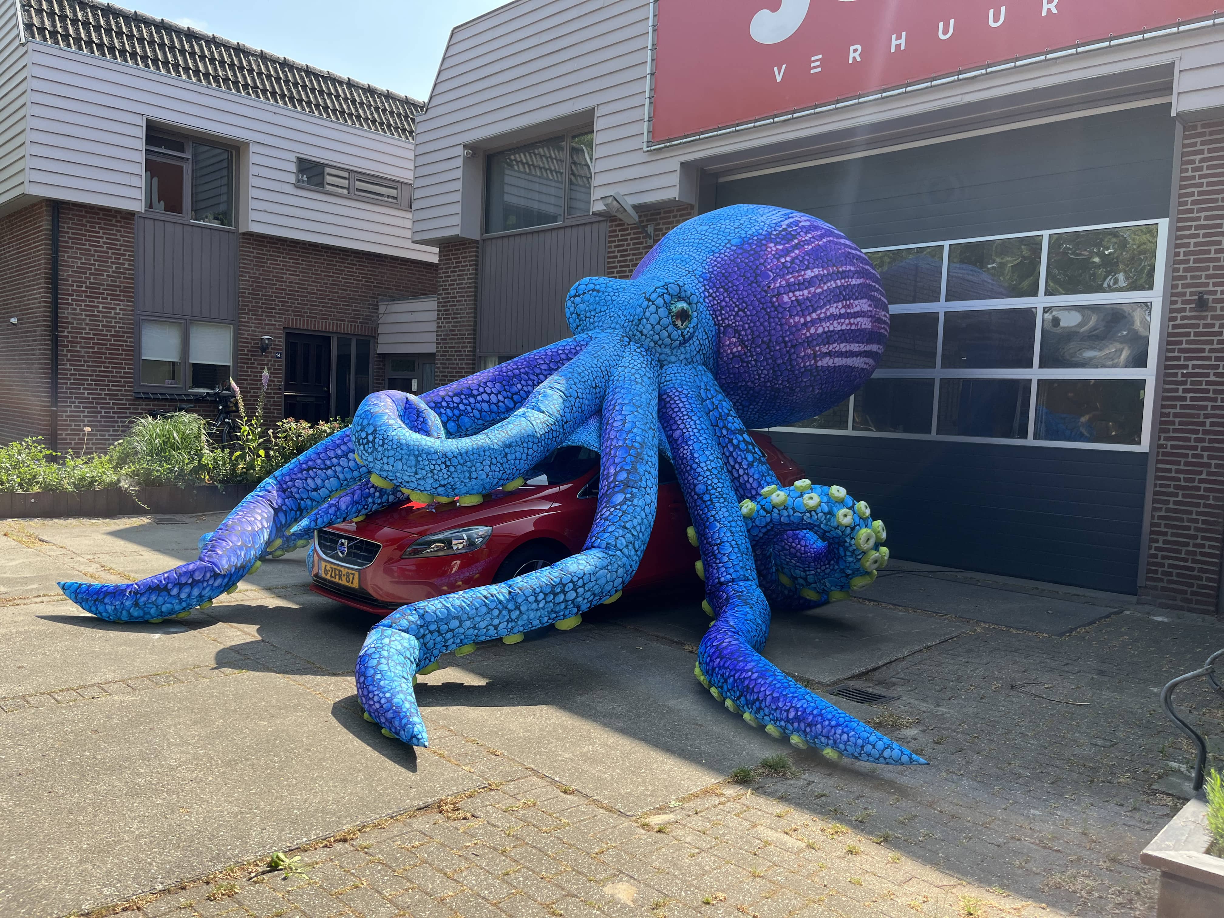 Blauwe octopus opblaasbaar