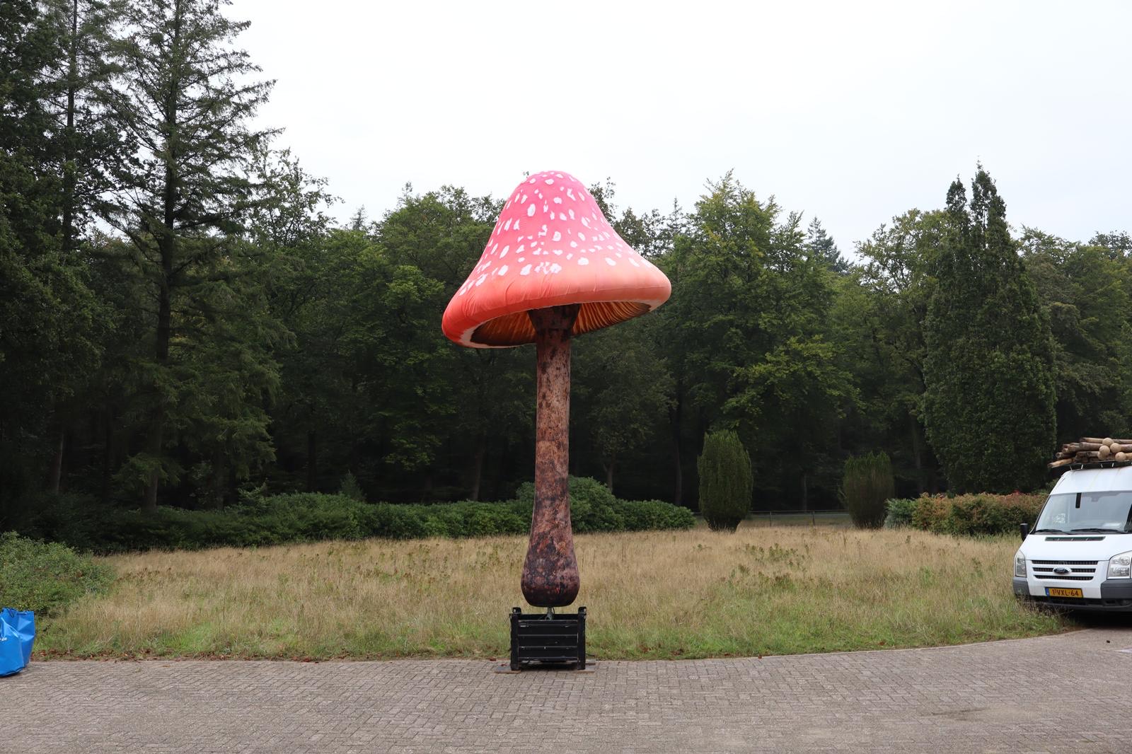 Paddenstoel Mushroom Decoratie